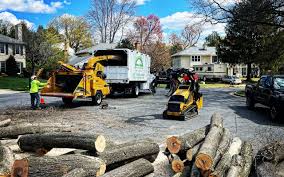 Best Arborist Consultation Services  in Lincoln, ID